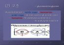 Glycosaminoglycan & Proteoglycan 14페이지
