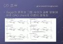 Glycosaminoglycan & Proteoglycan 15페이지