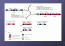 Glycosaminoglycan & Proteoglycan 20페이지