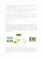 Er/Tm doped silica fiber의 분광학적 연구 14페이지