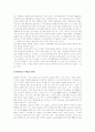 일본의 마쯔리 조사 보고서 3페이지