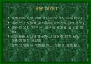 김성칠의  분석 4페이지