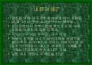 김성칠의  분석 5페이지