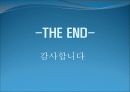사업 계획서 (홍콩식 샤브샤브&딤섬퓨전 춘하추동) 33페이지