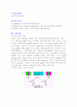 트랜지스터의 특성 예비보고서 2페이지