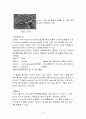 대장균의 DNA의 추출과 정량 5페이지