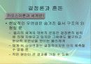 카오스이론에 대한 심층 고찰 7페이지