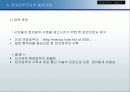 전자 민주주의 13페이지