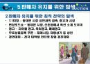 옥션 E-마켓 플레이스 13페이지