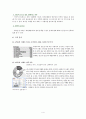 넥스투어와 투어익스프레스 여행사 비교 및 분석 4페이지