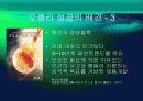 오클리의 브랜드 마케팅 - 스포츠보안경의 블루오션개척과 혁신의 경영철학 - PPT 14페이지