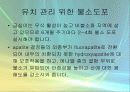 [케이스스터디] 구취관리, 불소도포,마우스 가드, 실란트      5페이지