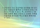 인터넷이 인간관계에 미치는 영향 15페이지