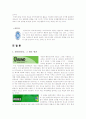 독일의 환경 5페이지