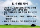 피아제 (Jean Piaget)의 인지이론 및 의의 4페이지