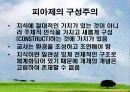 피아제 (Jean Piaget)의 인지이론 및 의의 22페이지