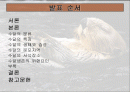 수달에 대해서... 2페이지