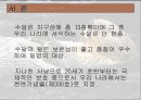 수달에 대해서... 3페이지