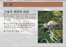 수달에 대해서... 6페이지