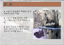 수달에 대해서... 8페이지