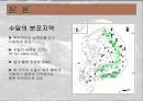 수달에 대해서... 10페이지