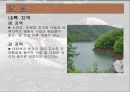 수달에 대해서... 13페이지