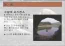 수달에 대해서... 14페이지