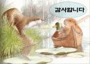 수달에 대해서... 27페이지