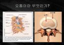 요통의 발생과 예방 3페이지