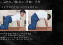 요통의 발생과 예방 15페이지