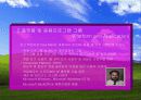 마이크로 소프트사의 국제 경영 발표 ppt. 20페이지