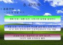 마이크로 소프트사의 국제 경영 발표 ppt. 36페이지