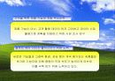 마이크로 소프트사의 국제 경영 발표 ppt. 37페이지