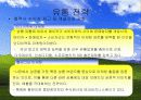 마이크로 소프트사의 국제 경영 발표 ppt. 42페이지