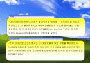 마이크로 소프트사의 국제 경영 발표 ppt. 46페이지