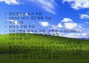 마이크로 소프트사의 국제 경영 발표 ppt. 47페이지