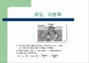 [직류기]직류기 발표 15페이지