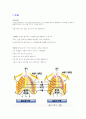 호흡과 순환계를 조사하시오. 2페이지