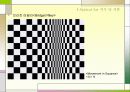 옵아트(optical art) 9페이지