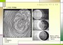 옵아트(optical art) 29페이지