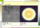 옵아트(optical art) 30페이지