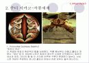 페미니즘 미술 : 주디 시카고 11페이지