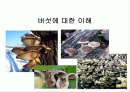 버섯에 대한 이해 1페이지