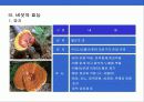 버섯에 대한 이해 7페이지