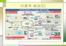 [일반물리] 중력가속도 측정 자료 4페이지
