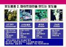 와인의 이해 7페이지