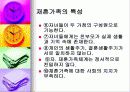 재혼가족발표자료(ppt파일) 13페이지