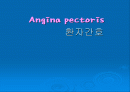 협심증환자간호 1페이지