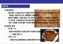 인삼에 대한 이해 12페이지
