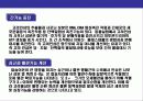 인삼에 대한 이해 20페이지